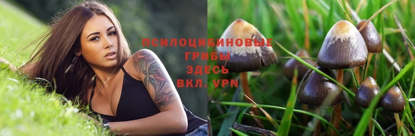 синтетический гашиш Арсеньев