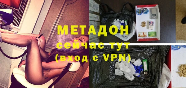 стаф Аркадак