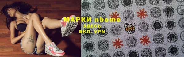 стаф Аркадак